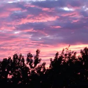 麻豆视频国产精品
