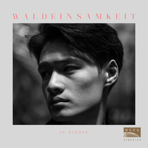 麻豆视频国产精品
